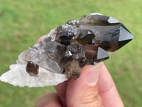 Image 9 of Smoky Quartz Points #1383