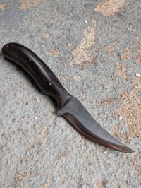Image 2 of BLACKWOOD PERSIAN