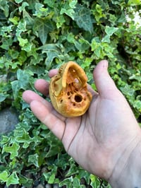 Image 2 of Boxwood Skull