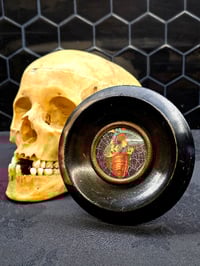 Image 1 of ANTIQUE ANATOMICAL COLLECTION - Preserved web- HEART