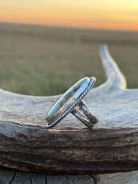 Image 2 of The Golden Range