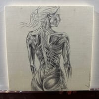 Image 1 of Skin Deep