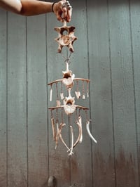 Image 3 of Bone chimes 