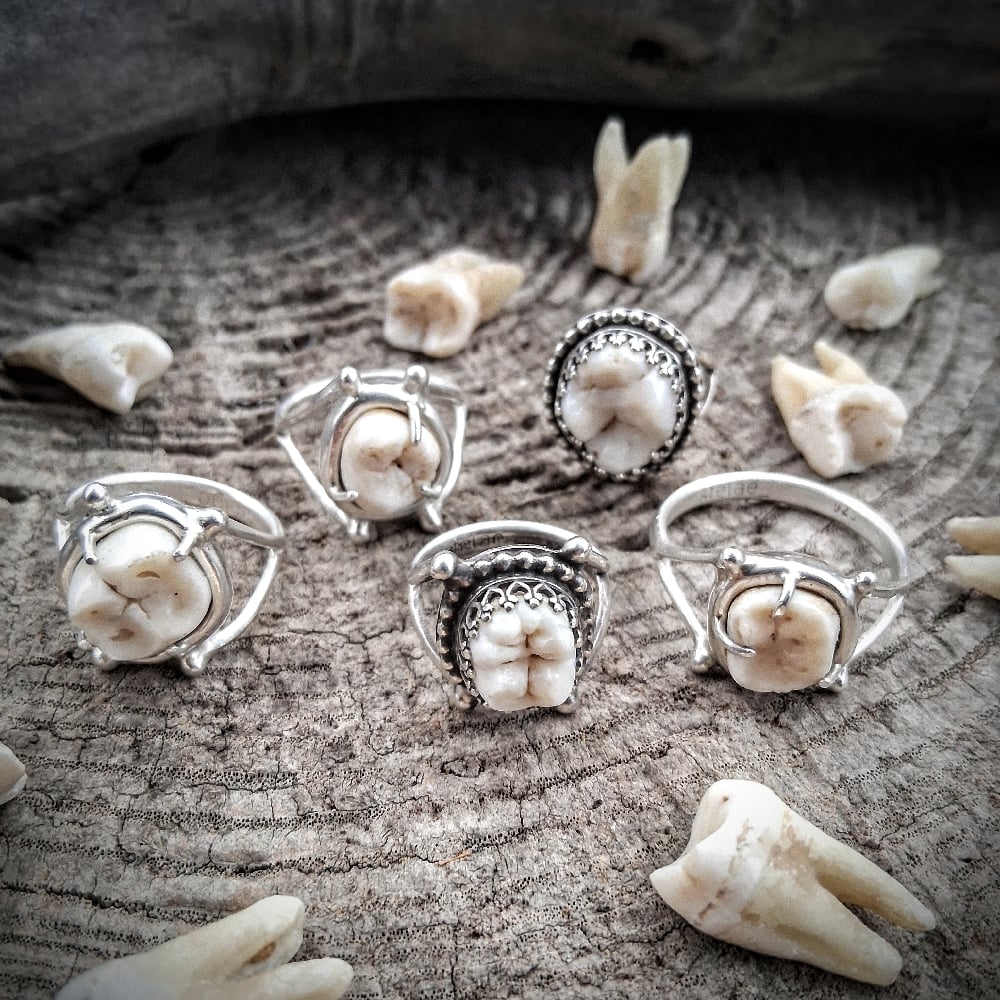sterling silver + tooth ring | stelae