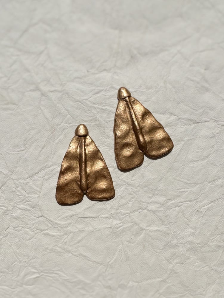 Image of Gold Moth