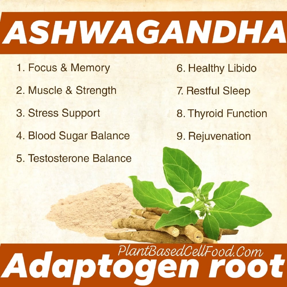 MOOD & GAINS Ashwagandha Adaptogen Root. Fertility-Stamina-Weight Gain-Anemia-PCOS
