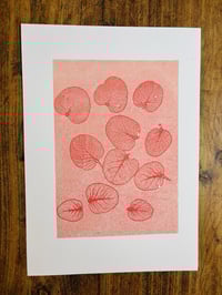 Image 2 of Eucalyptus leaves Monoprint Orange