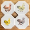 Silkie Chicken Coasters