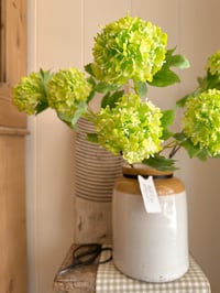 Image 2 of The Snowball Bouquet  ( 3 options )