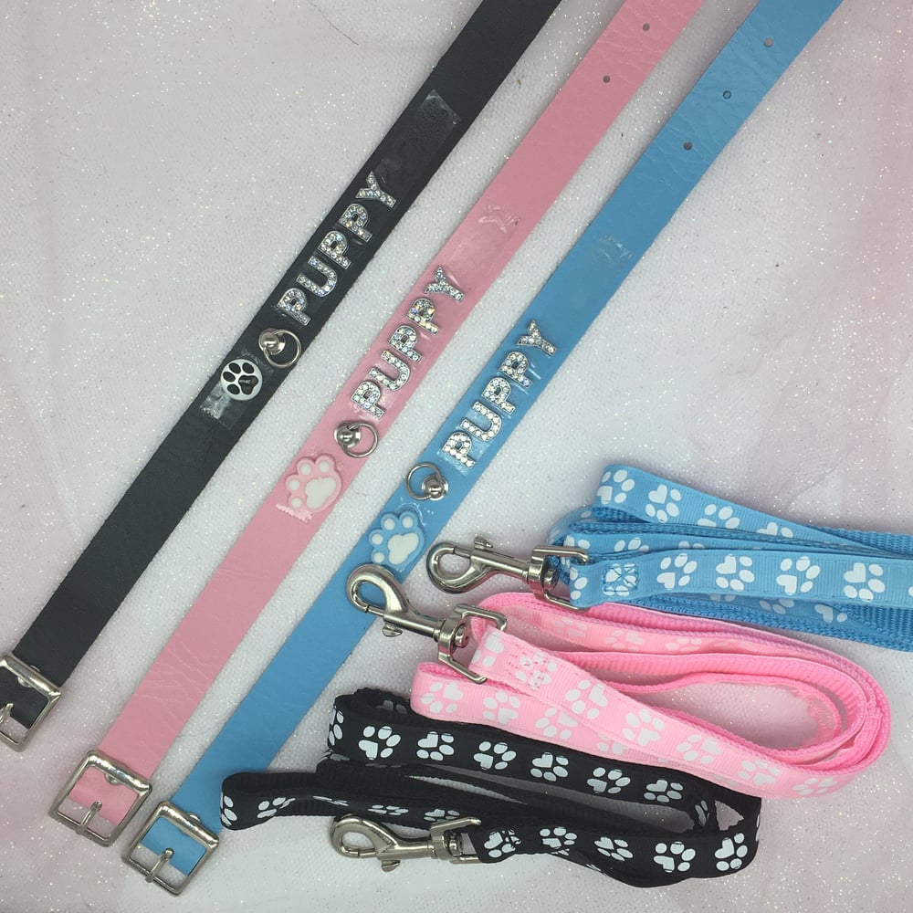 Collar With 🐾 Leash 