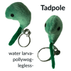 Tadpole keychain 