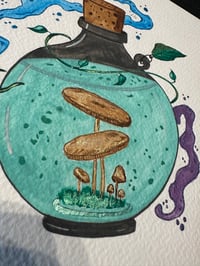 Image 4 of Pote 3/4 - Pote dos cogumelos