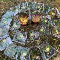 Image 2 of SmokeyThaPig💨Beanies