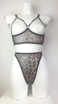 Image 1 of The SUBMIT open cup bra & high cut SABBATH lingerie set in leopard mesh.