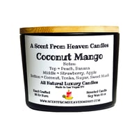 Image 1 of The Luxury Collection Coconut Mango Black Matte 3 Wick Candles