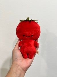 Tomato baby (Larger Size)
