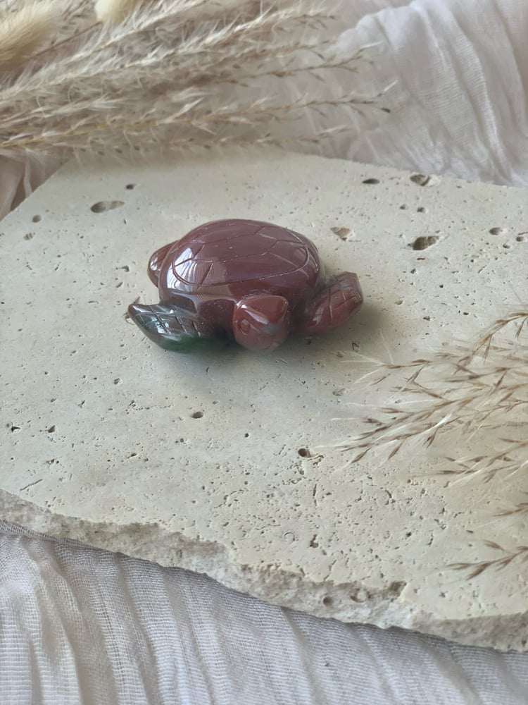 Image of Ocean Jasper Turtles 