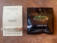 Image 2 of AfghaniLantz (Balkh x Lantz F2)