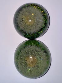 Image 2 of Colin Christian Handpicked Dandelion in Resin, small