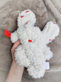 Image 2 of Inséparable Fluffy Cœurs d'amour ❤️