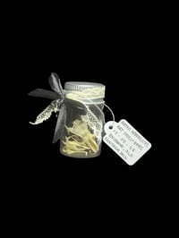 rat skull + bones jar