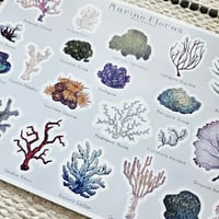Image 2 of Marine Floras 🪸