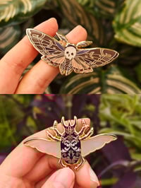 Image 1 of Ornamental beetle X Hawk moth