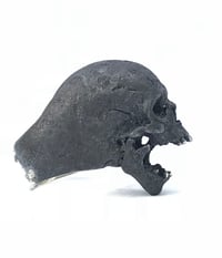 Image 1 of The Figurehead 