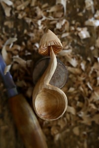Image 1 of Mushroom Coffee Scoop-
