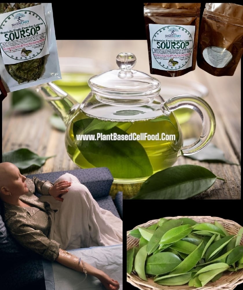 Wild Soursop Leaves/Fruit Powder. Pain-Stress-Immunity-Insomnia-Parasites-Bone-Chemo-Fibromyalgia