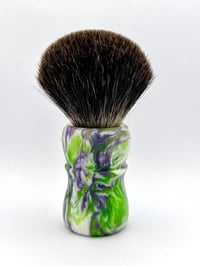Image 2 of Aquilegia