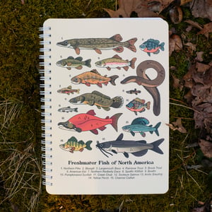 Freshwater Fish Sticker Collecting Book