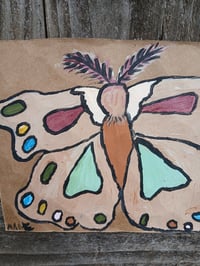 Image 9 of Moth 