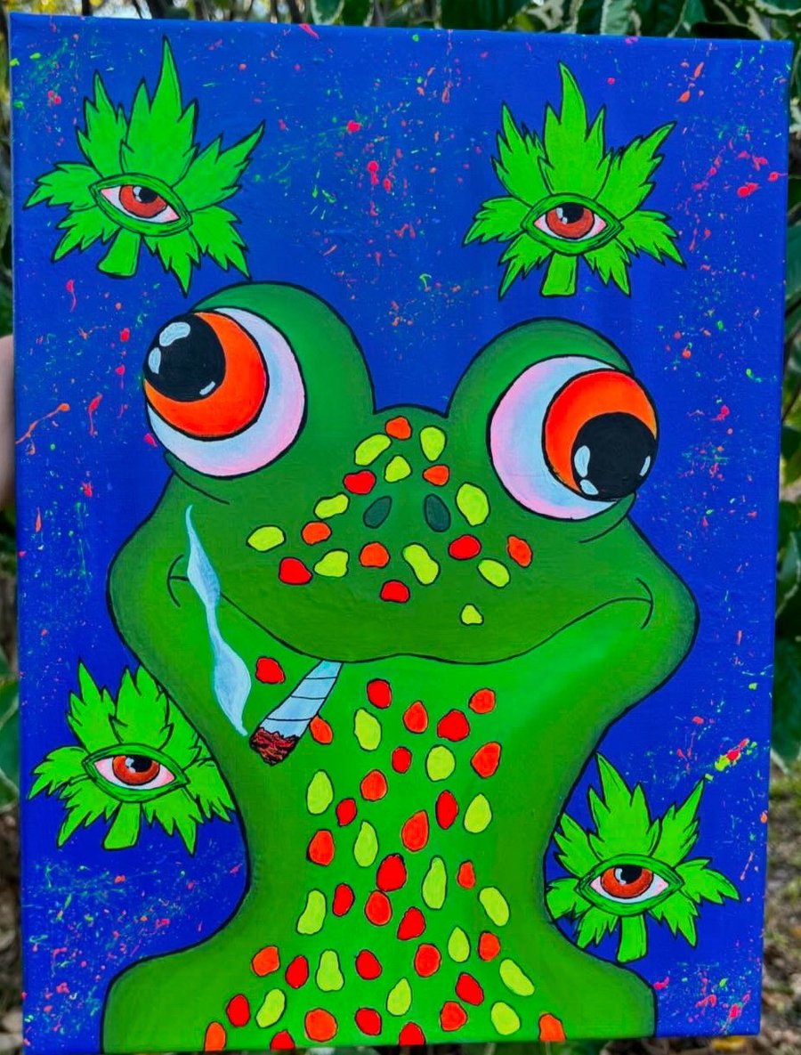 Image of Froggy the stoner 