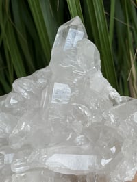 Image 4 of Clear Quartz Crystal Points Cluster #346