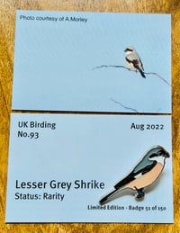 Image 1 of Lesser Grey Shrike - No.93 - UK Birding Pins - Enamel Pin Badge