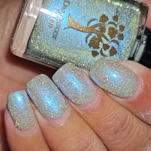 Image of Slam dunk da funk