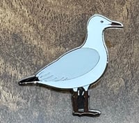 Image 2 of Slender-billed Gull - No.185 - UK Birding Pins