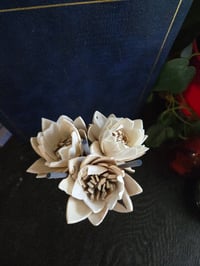 Image 3 of Fall Collection: Water Lily Mix