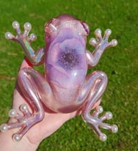 Image 1 of Large Frog