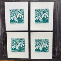 Image 3 of Winter Beauty