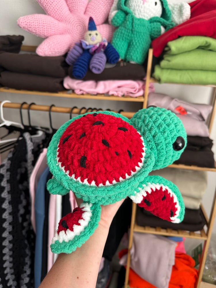 Image of watermelon turtle