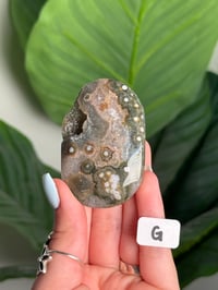 Image 7 of CHOOSE YOUR OWN ORBICULAR VEINLESS OCEAN JASPER PALM STONES -MADAGASCAR- 