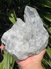 Image 2 of Clear Quartz Points Cluster Statement Piece #2446