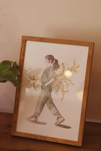 Image 1 of Mimosa
