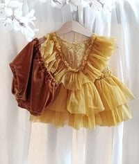 Image 1 of Sitter photo session set | Iris set 9-12 months