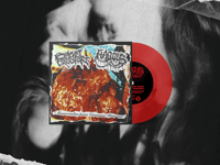 Image 3 of Haggus / Bowel Erosion “split” 7”