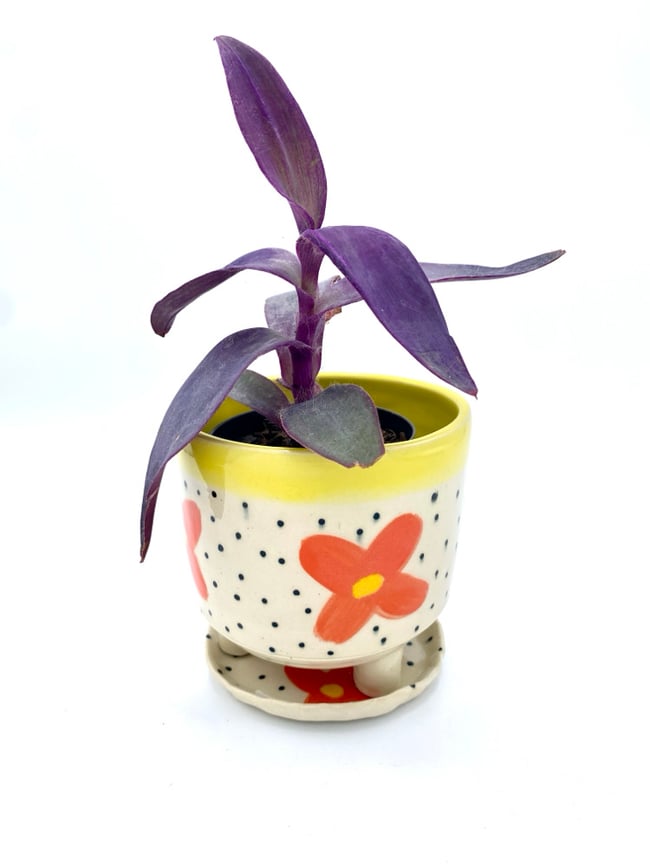 Flower Power Planters