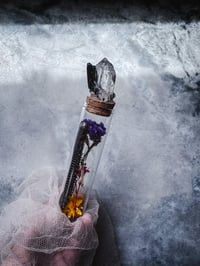 Japanese Millipede w terminated Quartz and tourmaline