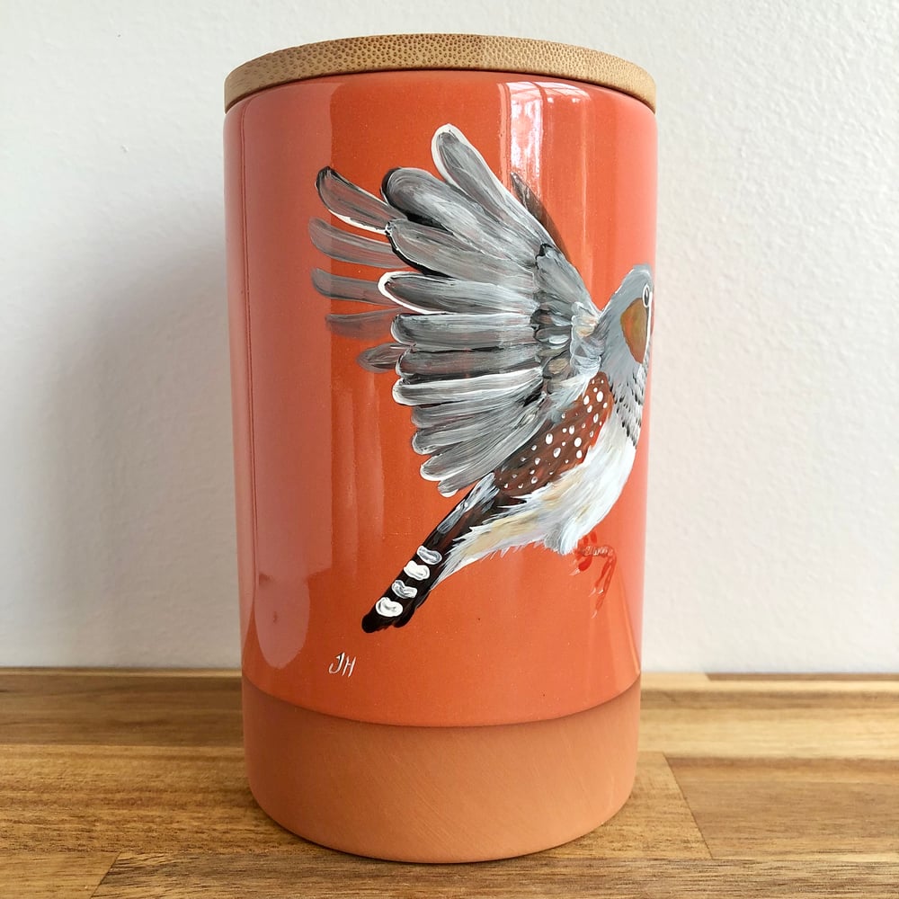 Zebra Finch Canisters